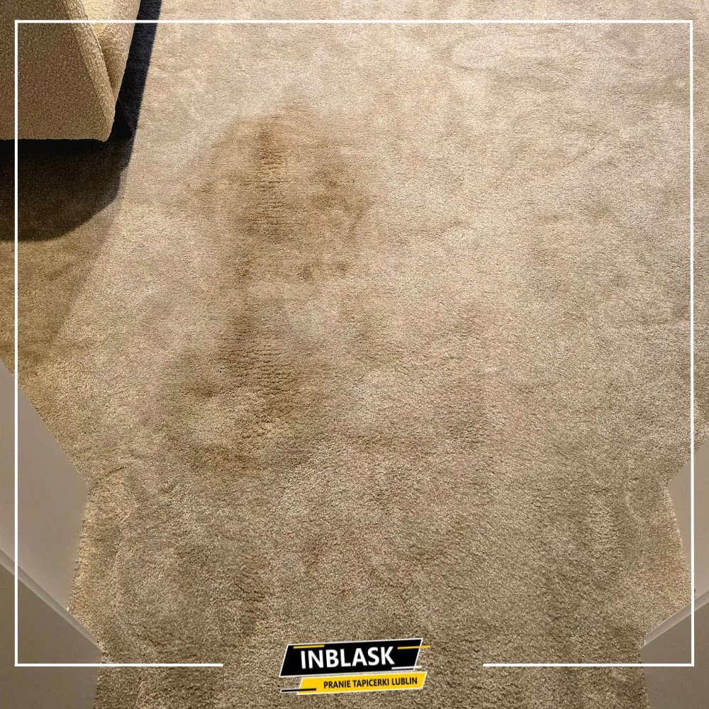 pranie wykładzin Lublin